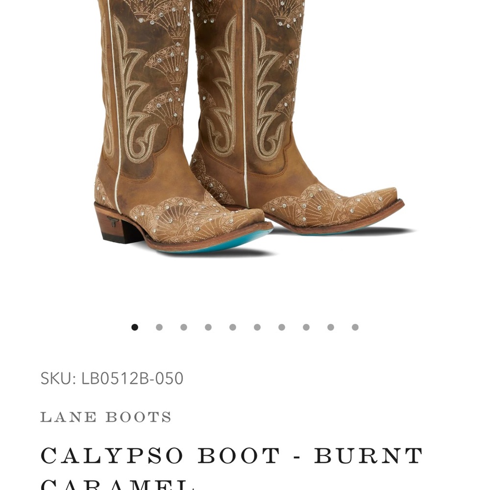 Lane Women's Embroidered Heeled Boots - Brown